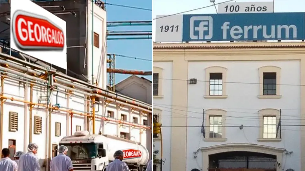 “Es urgente repensar políticas familiares”: el revelador dato que muestra un nuevo perfil demográfico en la Argentina