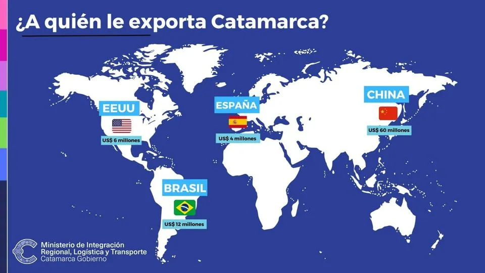 Esta es la forma de sacar a las moscas de tu casa