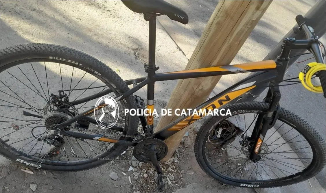 Esta es la manera correcta de poner el papel higiénico