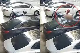 Esta ilusión óptica podría revelar tu personalidad