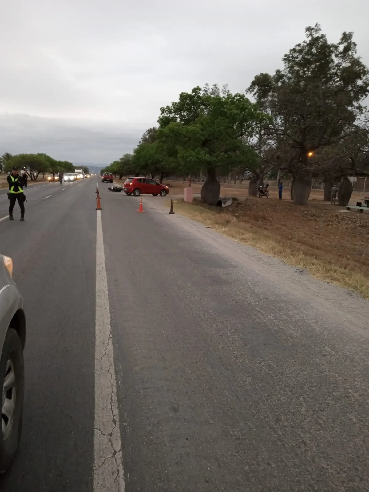 Estado de rutas