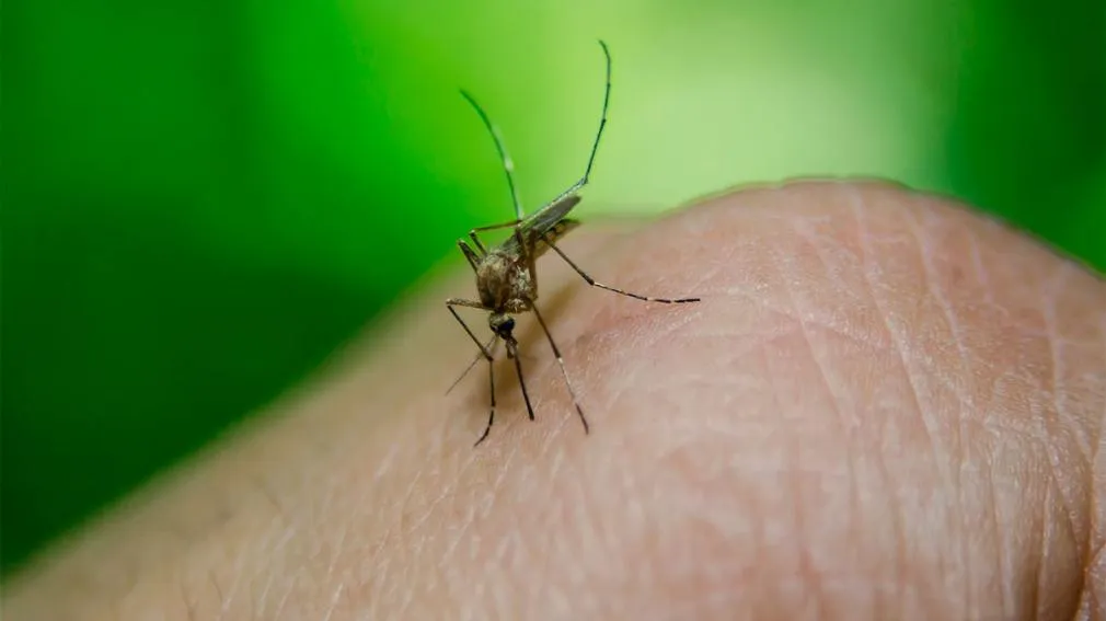 Estado de rutas