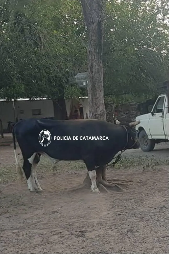 Este ejercicio casero quema calorías y mejora tu cerebro