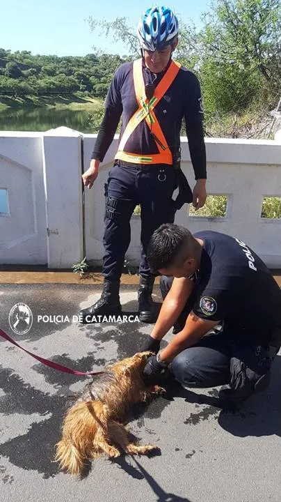 Este es el alimento que necesitás para combatir el mal aliento
