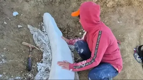 "Esto es una vergüenza"