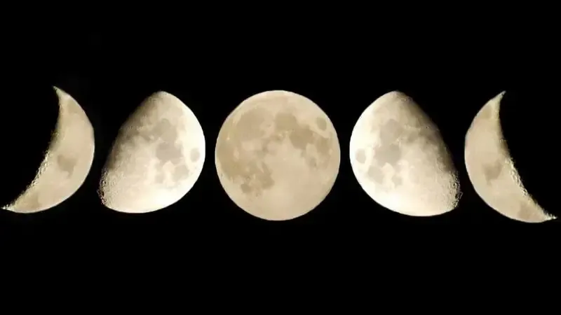 Estos 4 signos del Zodiaco van a multiplicar sus ingresos antes de terminar 2026