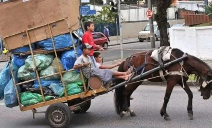 Estos fueron los diez autos y camionetas más vendidos en octubre 2024