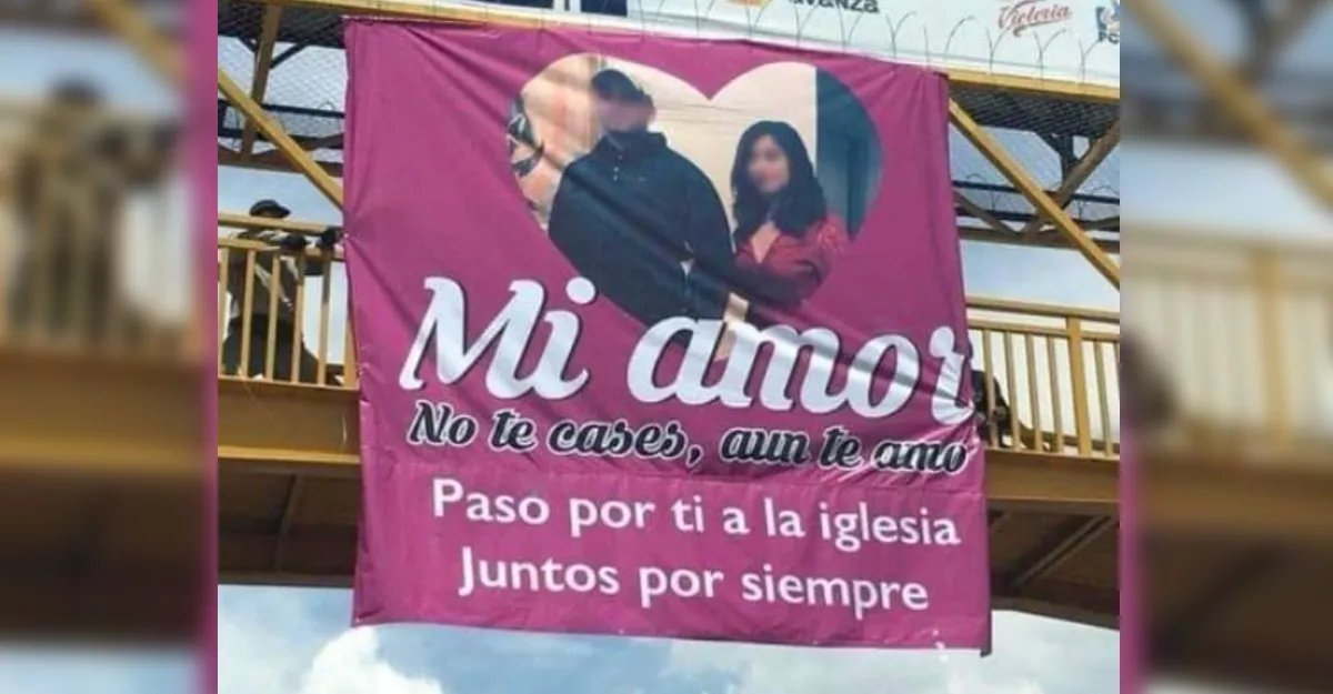 Estos signos del zodiaco adoran a los animales