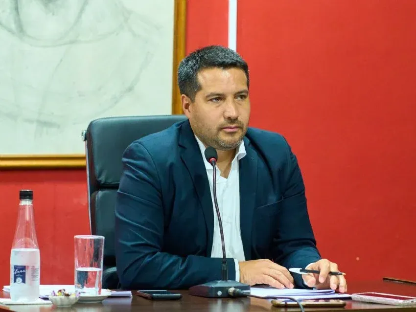 Estudiar con tu mascota mejora tu bienestar