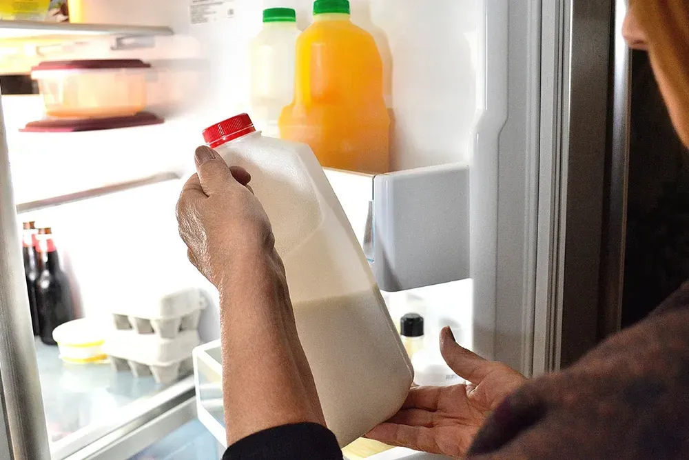Evalúan aporte para reducir los costos de energía a productores olivícolas
