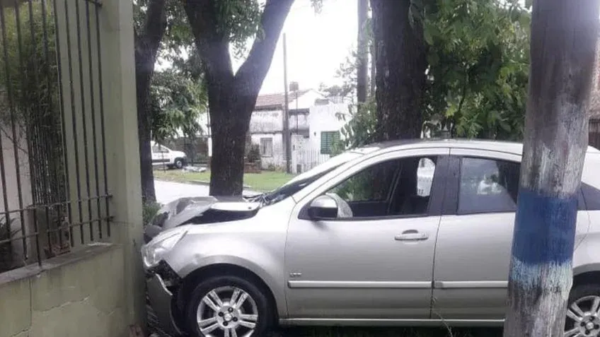Fallo inédito consideró a un perro "ser sintiente"