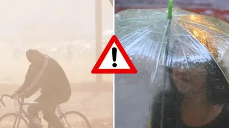 Febrero: calendarios de pagos