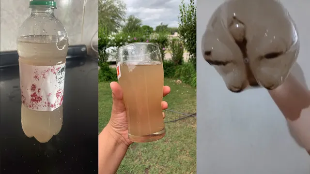 Feroz pelea con un palo de escoba y un destornillador