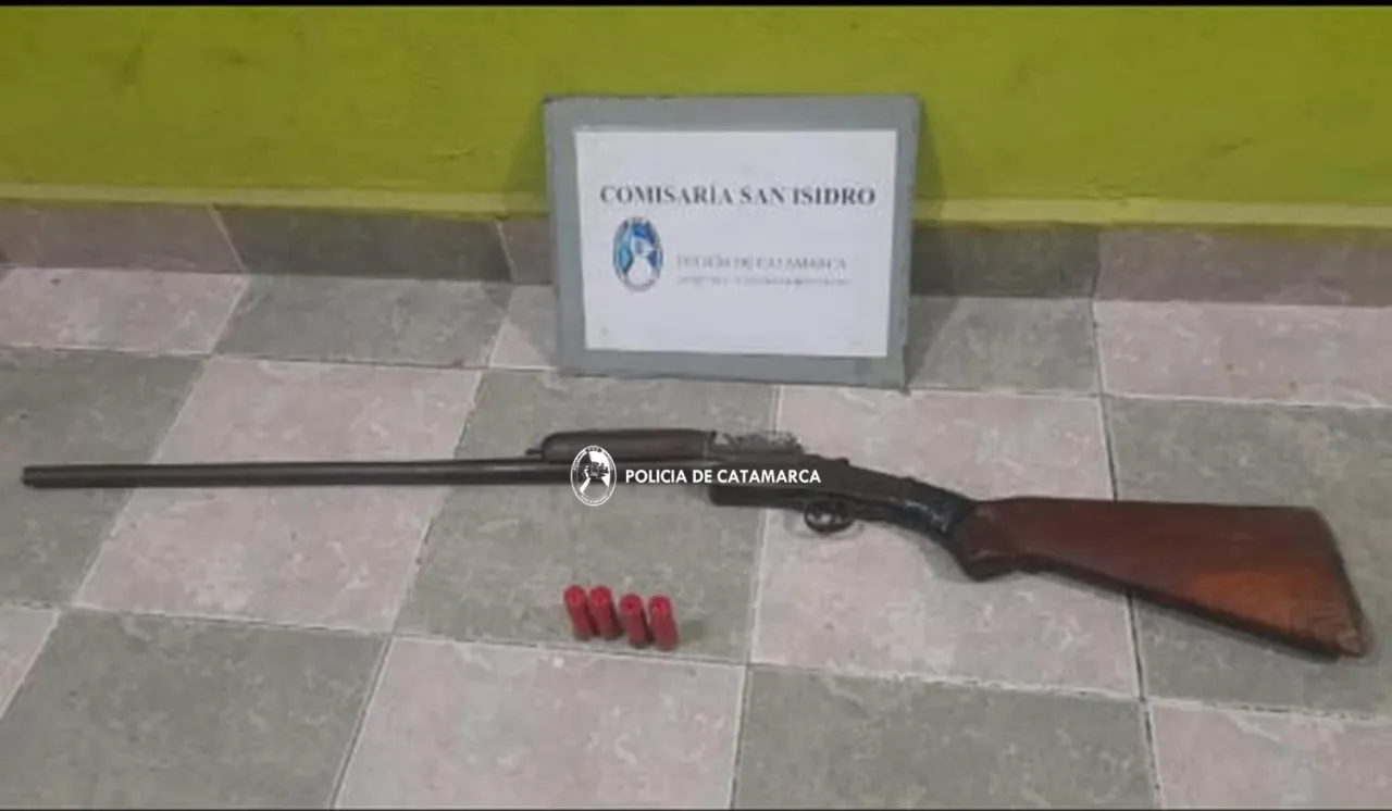 Fiebre del litio
