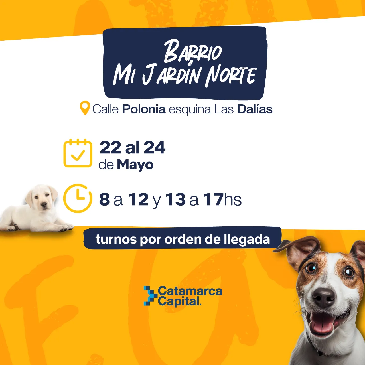 Fue a hacer popó al baño de La Terminal, se le cayó el celular y se lo robaron