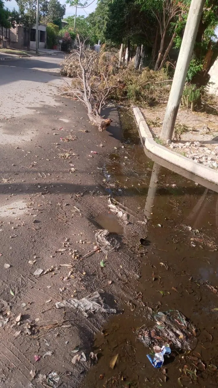 Fue a ver a su mamá porque no respondía los mensajes: la habían asesinado