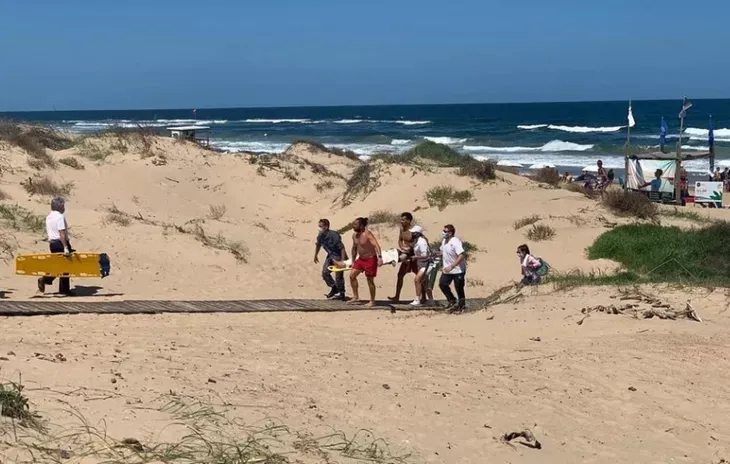 Fue al baño y encontró un lagarto en el inodoro