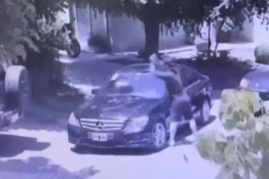 Fue al cine y descubrió que había una rata en la butaca de al lado