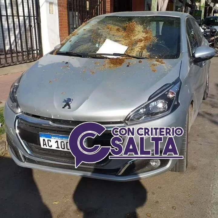 Fue aprehendido por golpear a su pareja