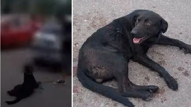 Fue con su novia a concretar una venta en una plaza y lo asesinaron de dos puñaladas