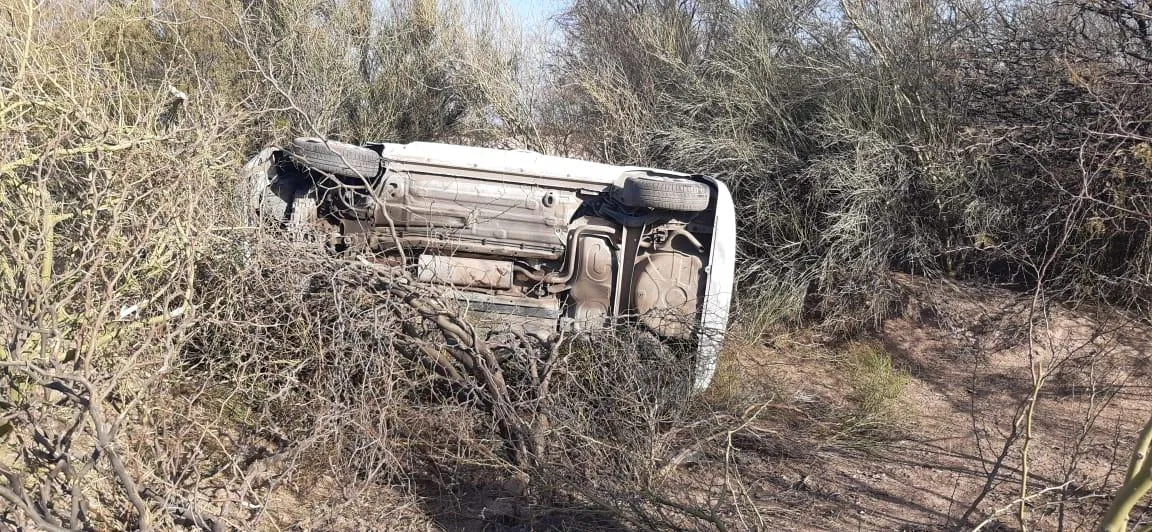 Fueron a pescar y volvieron aterrados: aseguran que vieron al Ucumar, una criatura mitológica salteña
