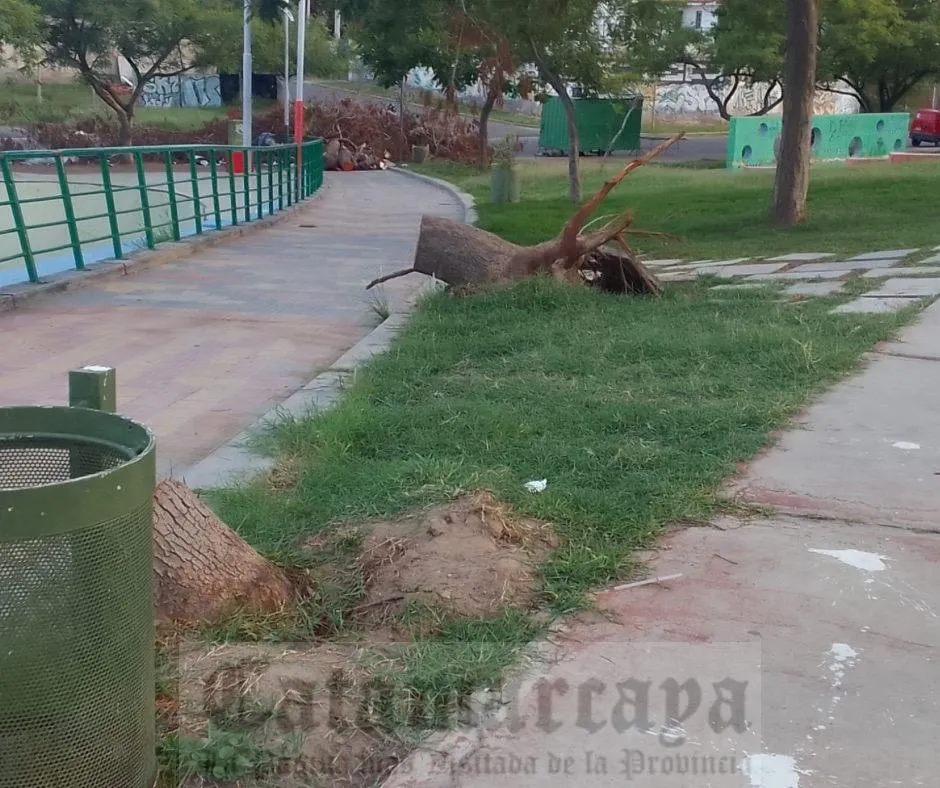 Fueron a ver Q´Lokura y terminaron tras las rejas