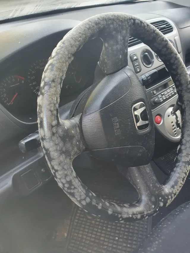 Funcionario maneja el auto con vaso en la mano... ¿Ebrio?