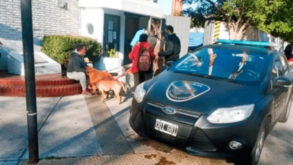 Furioso descargo de Florencia Peña tras su encuentro con Alberto Fernández: "No soy el gato del Presidente"