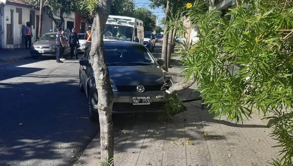 Furor por “Falopa”, el perro policía que generó los mejores memes