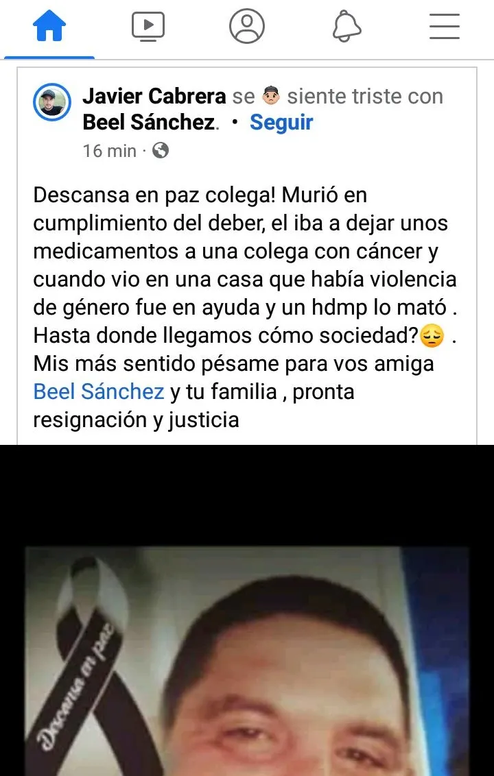 Gatito "aventurero" desapareció y 5 años después volvió con su dueña