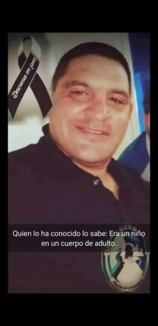 Gatito "aventurero" desapareció y 5 años después volvió con su dueña
