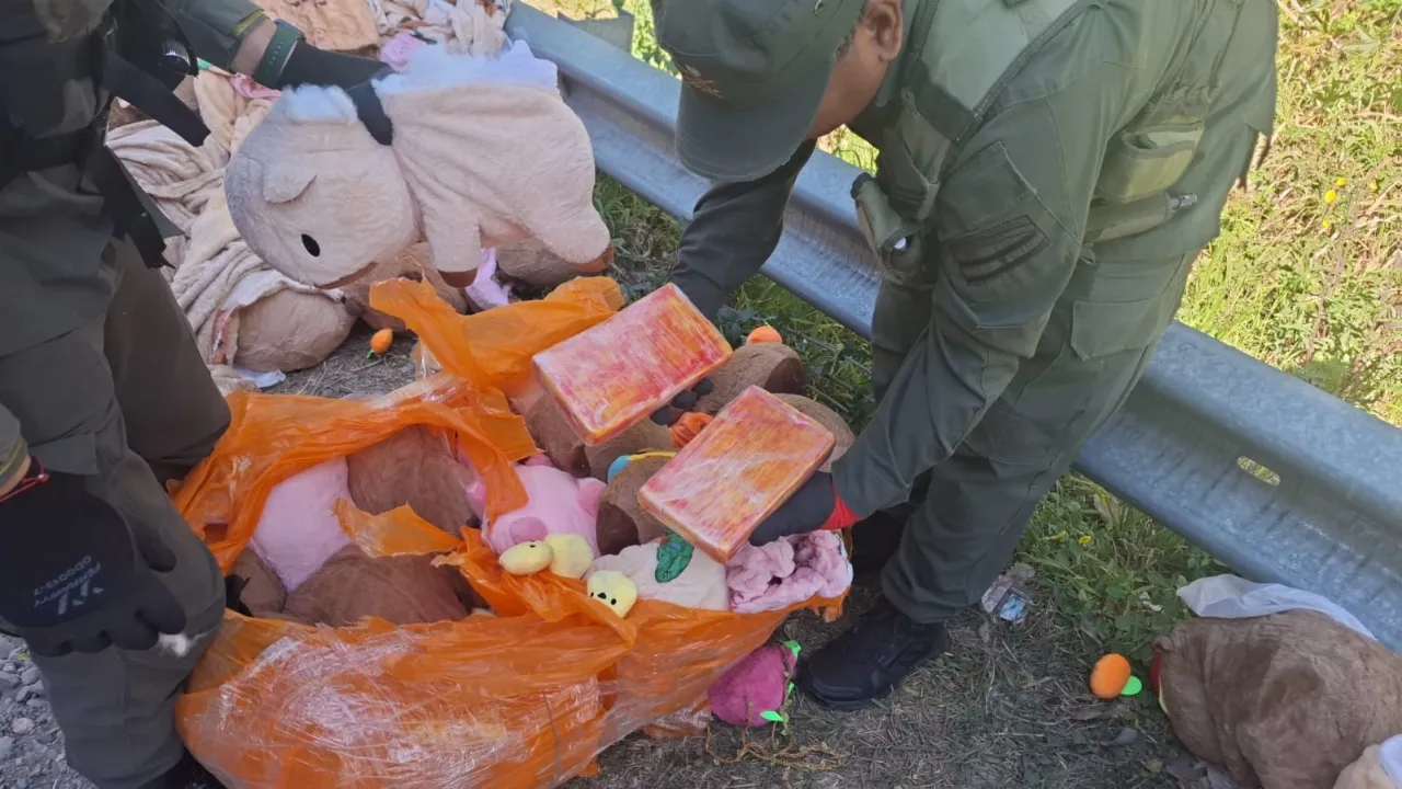 Efectivos con uniforme verde sostienen dos paquetes rectangulares junto a peluches en el suelo.