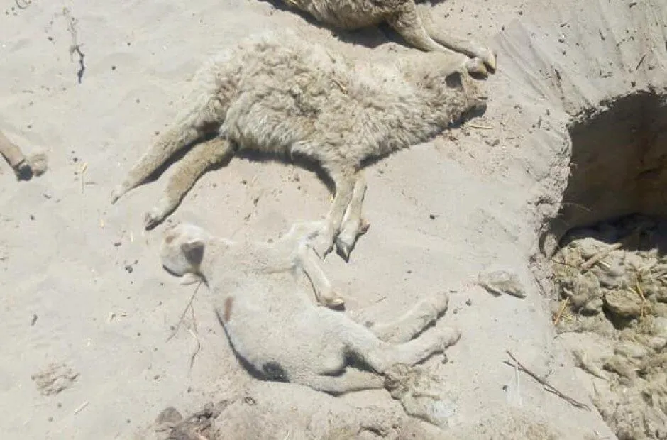 Grabaron una película porno en un Parque Nacional y los denunciaron