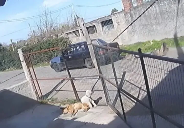 Graciela Alfano recordó su pelea con Cinthia Fernández y la destrozó