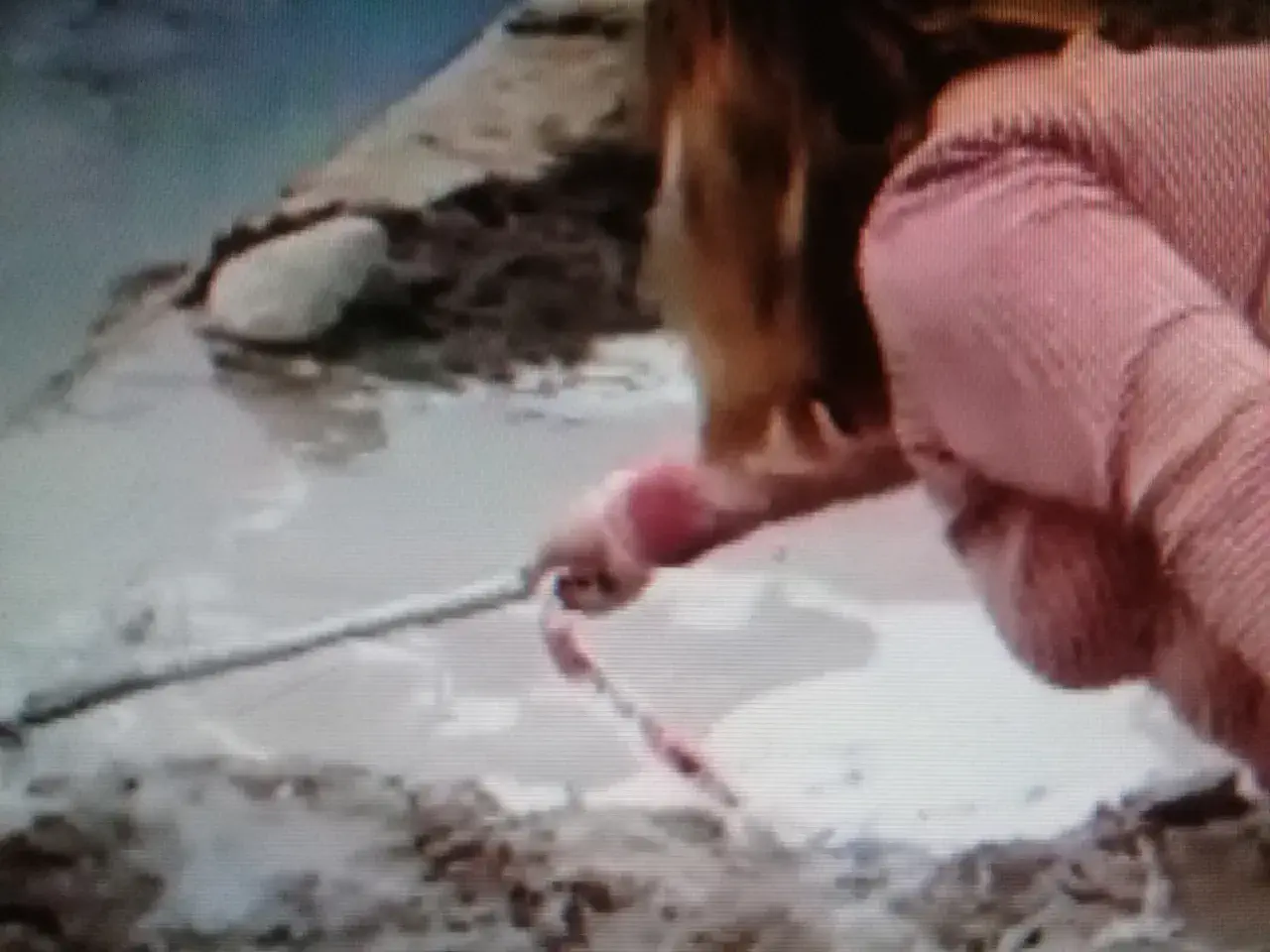 Gran pérdida de agua por caño sin reparar, desde hace 7 días