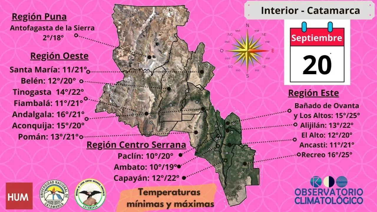 Grasa, pelos e insectos: analizó con un microscopio comida que se vende en la calle