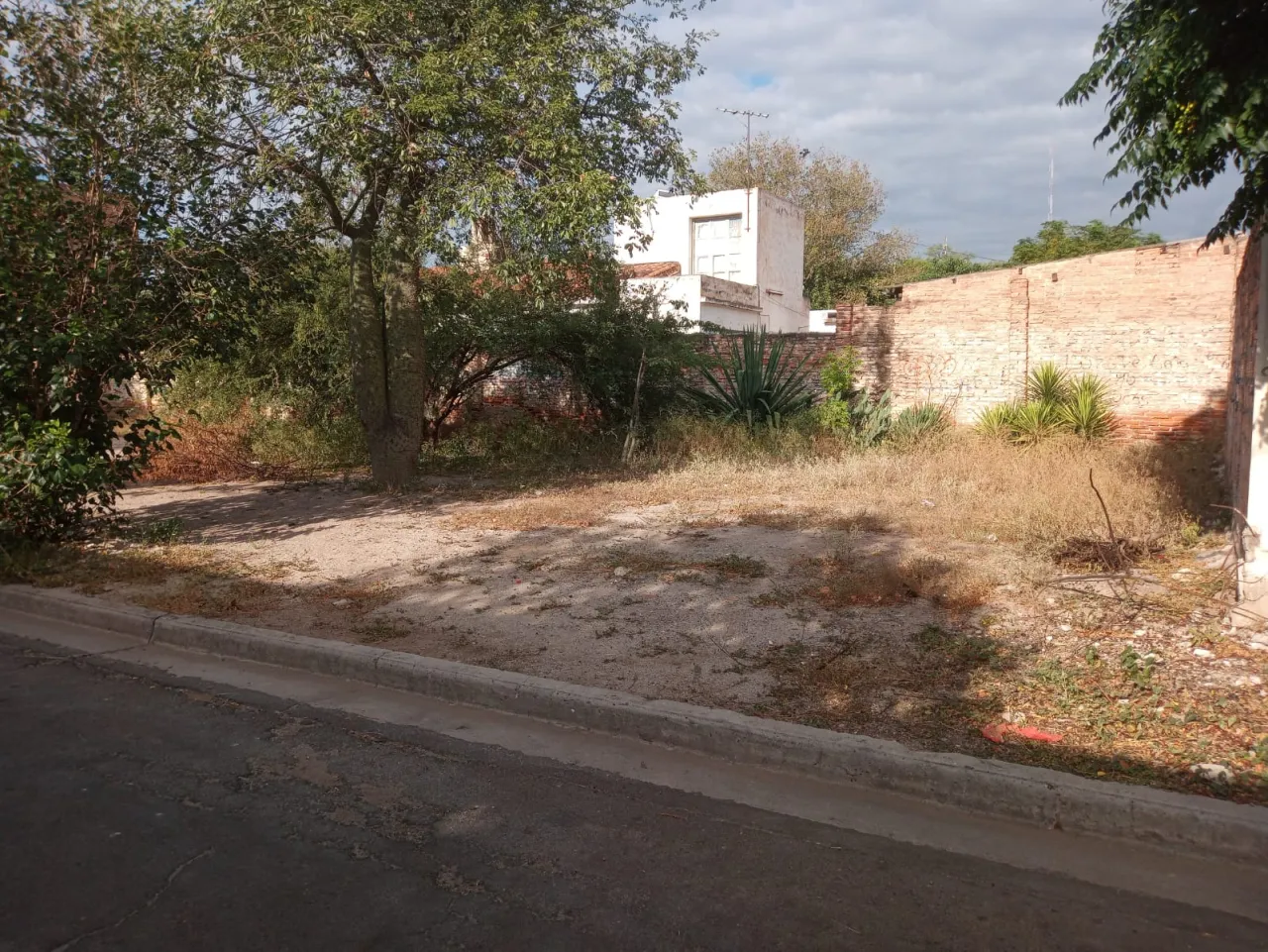 Grave: Las Postas Sanitarias están cerradas y no hay atención médica