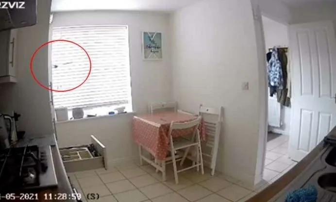 Guardaron por error casi 500 vacunas contra el coronavirus en un freezer y ahora no saben si sirven
