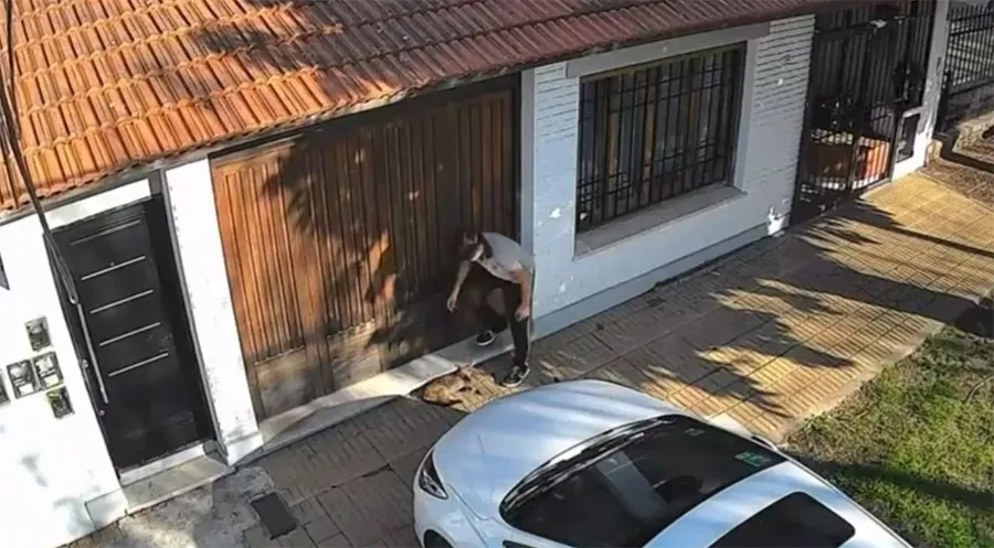 Habló la mamá del adolescente que le pisó la cabeza a un gato