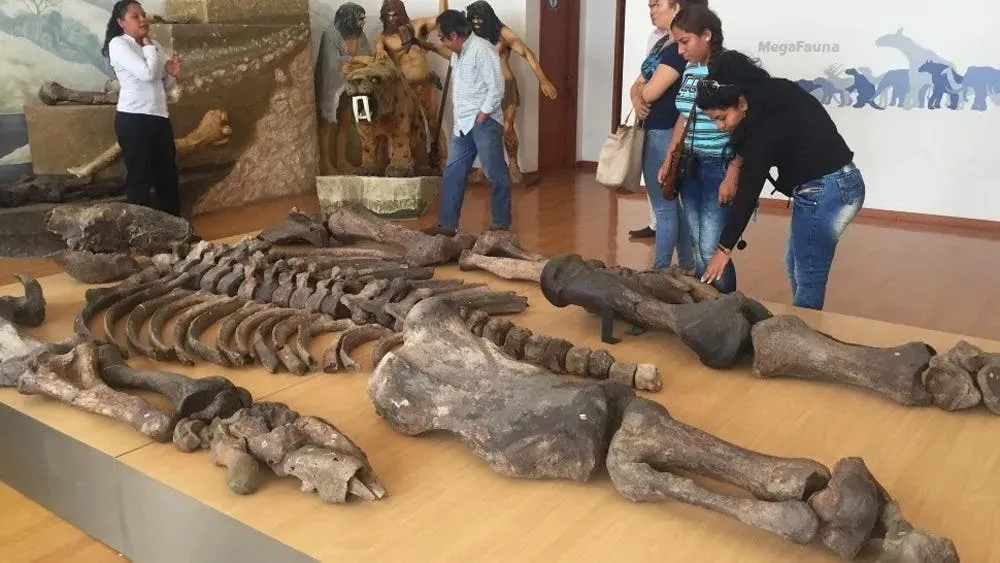 “He visto mucha angustia, he visto llorar a médicos”