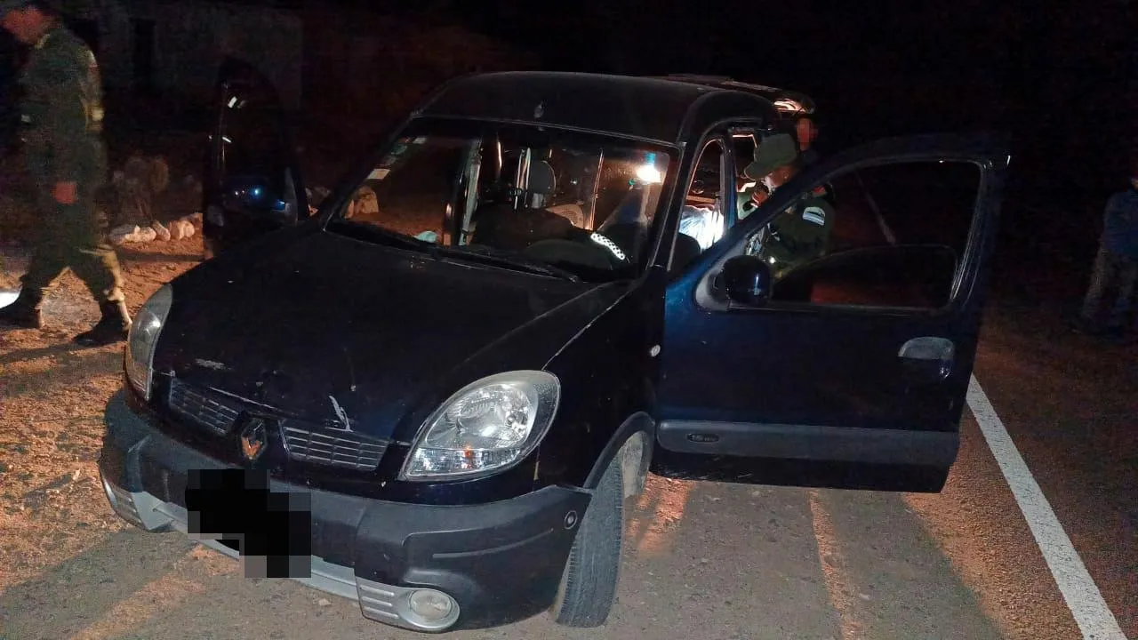 Hermanos se agarraron a las piñas y golpearon a su madre