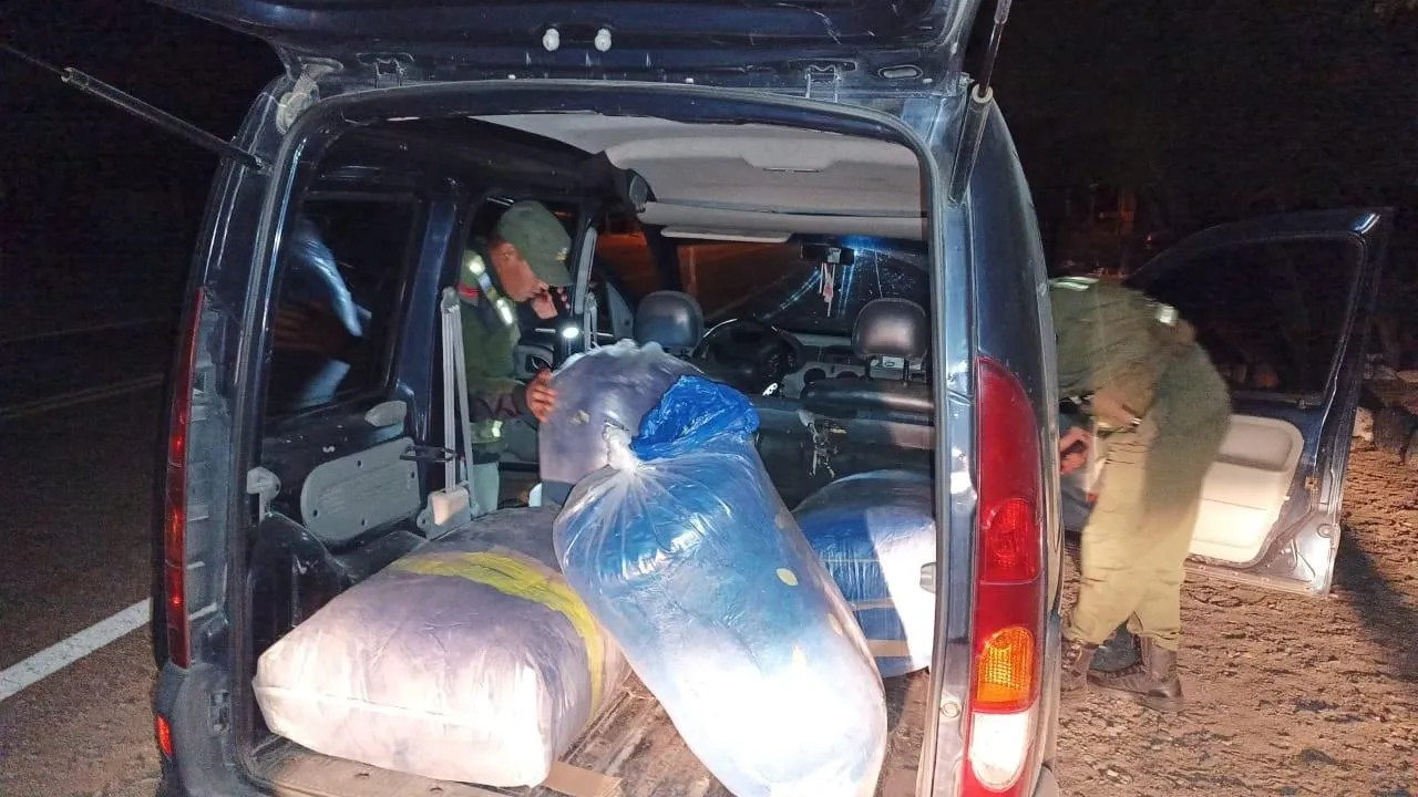 Hermanos se agarraron a las piñas y golpearon a su madre