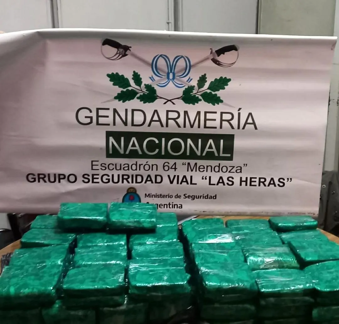 Hermanos se agarraron a las piñas y golpearon a su madre