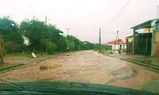 Historias de la guerra: adoptó a un perro abandonado que le salvó la vida cuando bombardeaban su casa