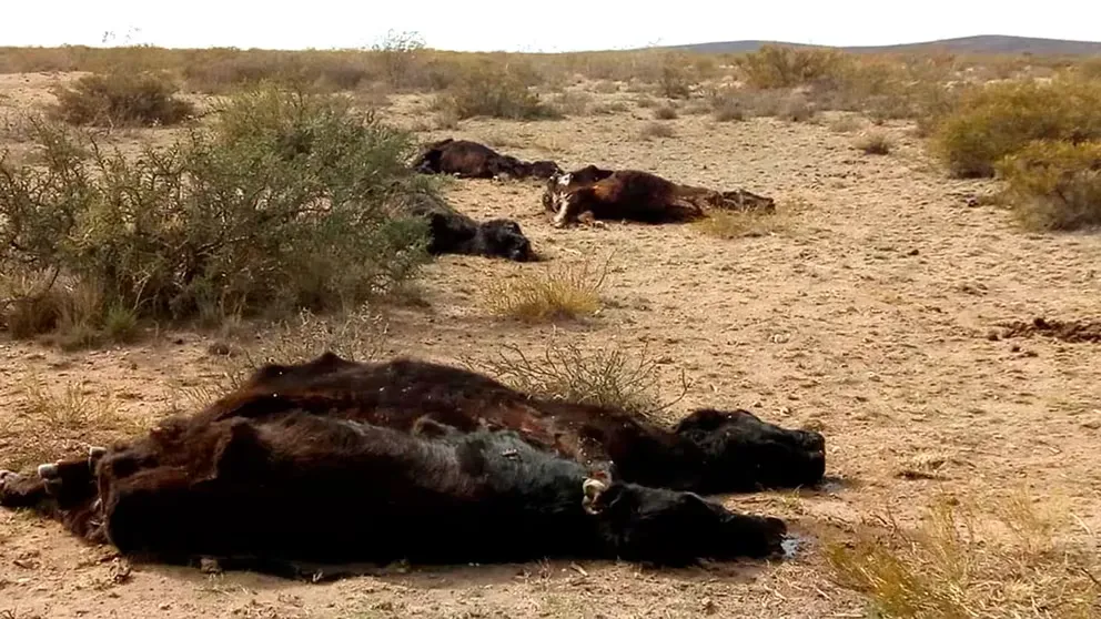 Horóscopo para este Domingo 07 de Abril