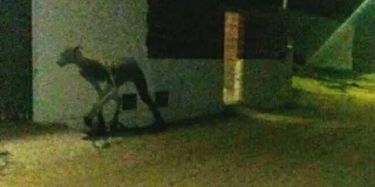 Horóscopo para este Jueves 29 de Abril