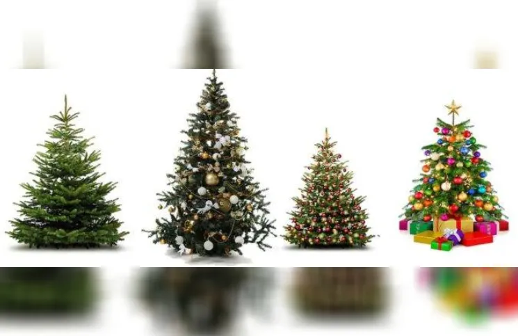 Horóscopo para este Lunes 14 de Diciembre