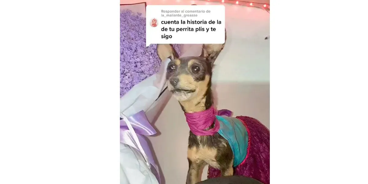 Horóscopo para éste Lunes 28 de Febrero