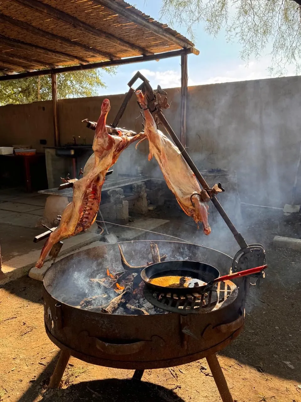 Horóscopo para este Sábado 21 de Marzo