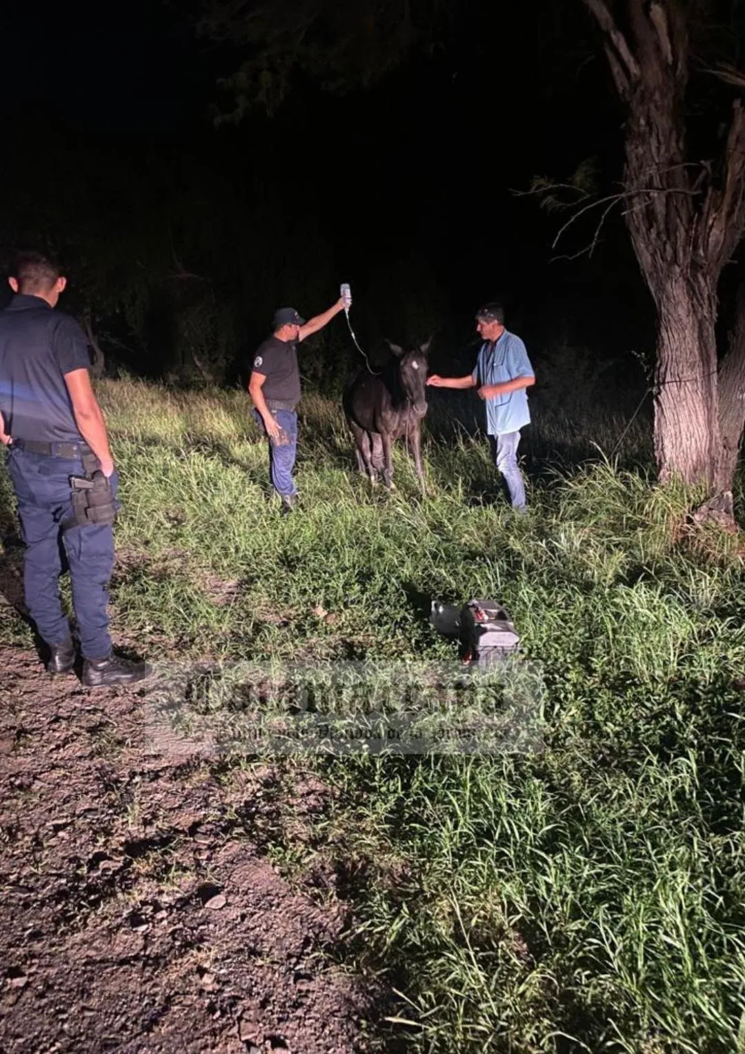 Horror: una mujer incendió su casa con sus hijos adentro y se salvaron de milagro
